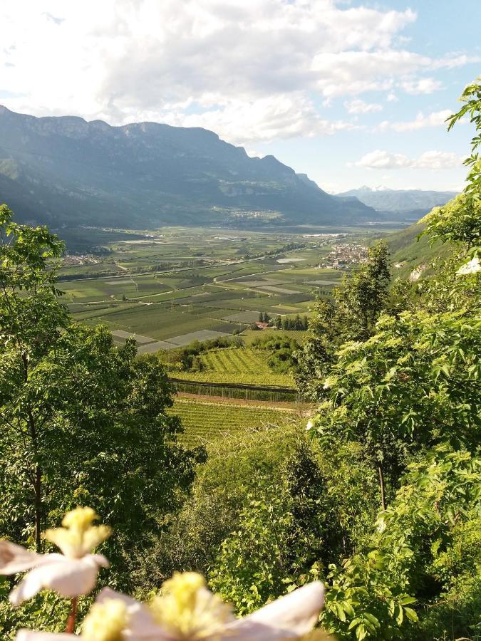 B&B Klammhof Panorama Salorno Exteriör bild